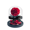 Mini Everlasting Red Rose with gold trim in a glass dome
