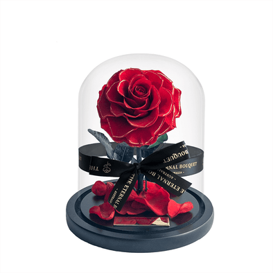 Mini Everlasting Red Rose with gold trim in a glass dome