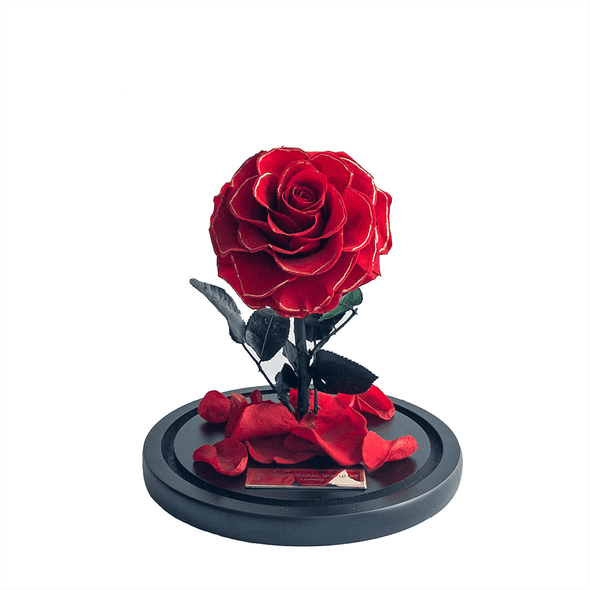 Mini Everlasting Red Rose with gold trim in a glass dome without lid