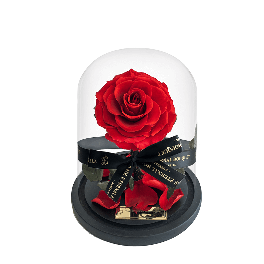 Preserved red rose in a glass dome, symbolising everlasting love—an elegant and romantic gift for Valentine’s Day, anniversaries, and special occasions.