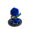 Mini Everlasting Royal Blue Rose in a glass dome without lid