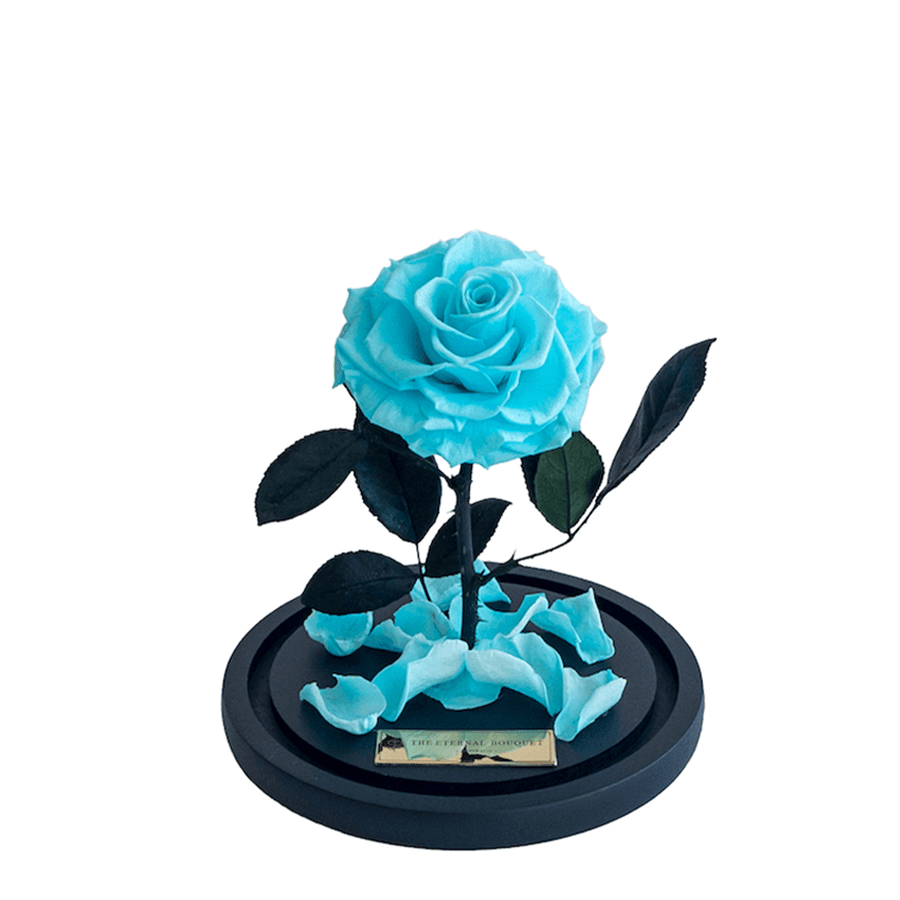 Mini Tiffany Blue Enchanted Rose in glass dome without lid