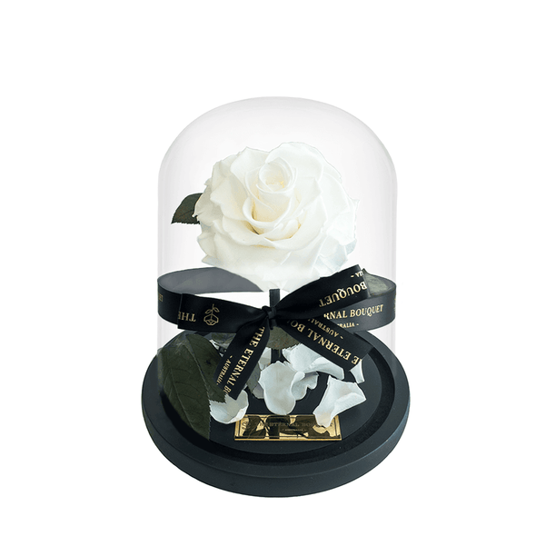 Mini White Everlasting Rose in glass dome