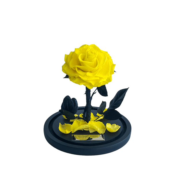 Mini Yellow Everlasting Rose in glass dome without lid