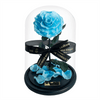Everlasting Baby Blue Rose in a glass dome
