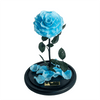 Everlasting Baby Blue Rose in a glass dome without lid