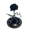 Everlasting Black Rose in a glass dome without lid