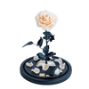 Everlasting Champagne Beige Rose in a glass dome without lid