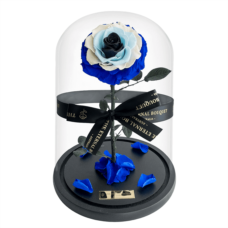 Everlasting Evil Eye Rose in a glass dome
