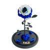 Everlasting Evil Eye Rose in a glass dome without lid