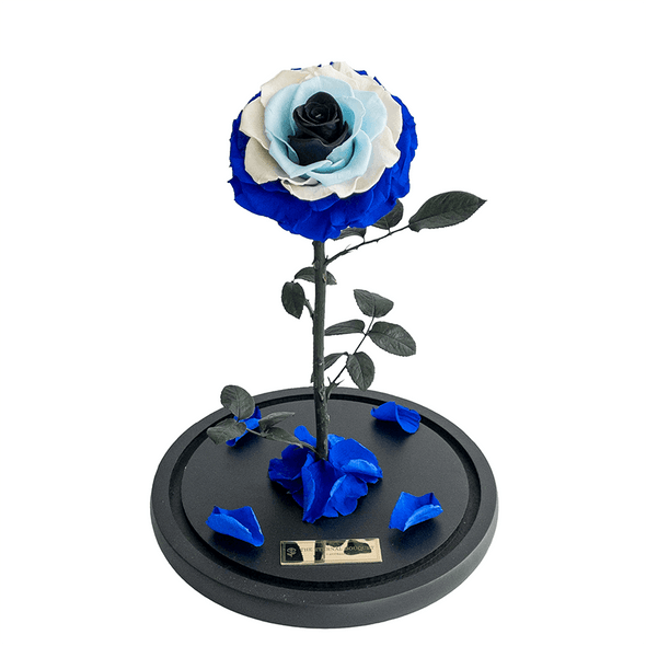 Everlasting Evil Eye Rose in a glass dome without lid