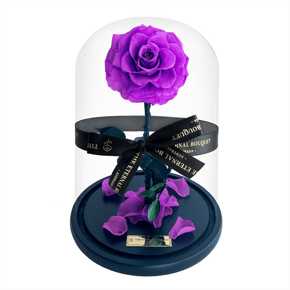 Everlasting Lavender Rose in a glass dome