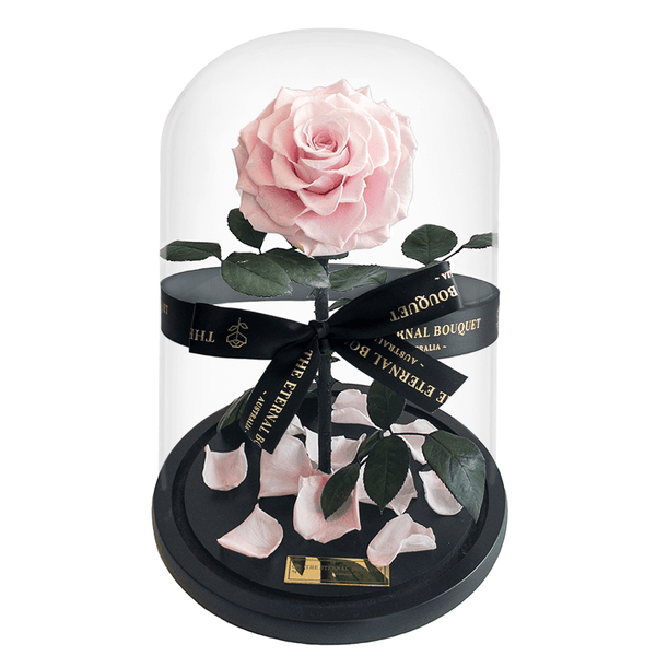 A large pink everlasting rose under a glass dome