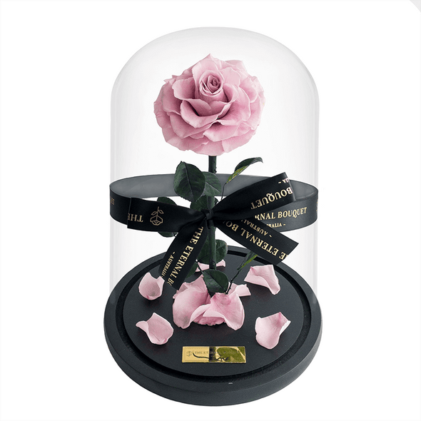 Long Lasting Lilac Rose in a glass dome