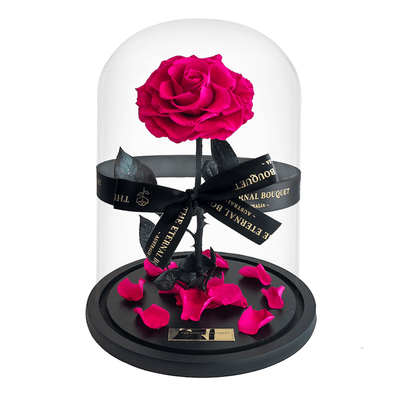 Long Lasting Magenta Fuchsia Rose in a glass dome