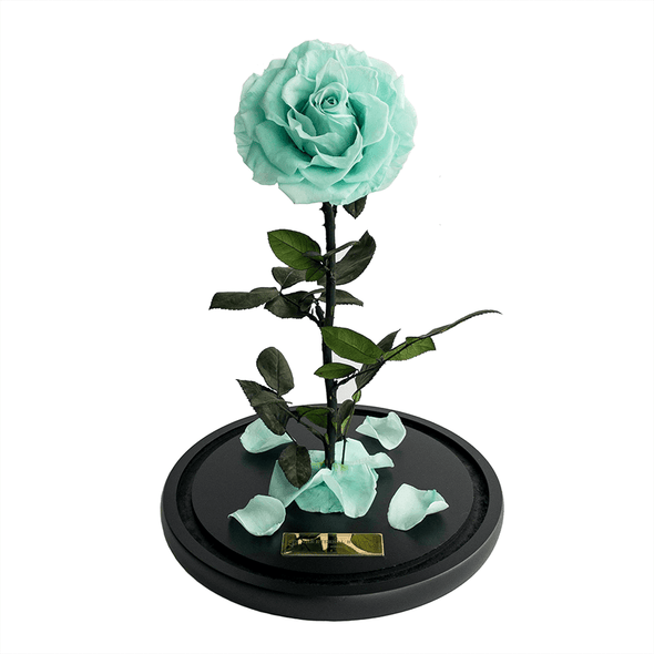 The Enchanted Rose - Mint - The Eternal Bouquet ®