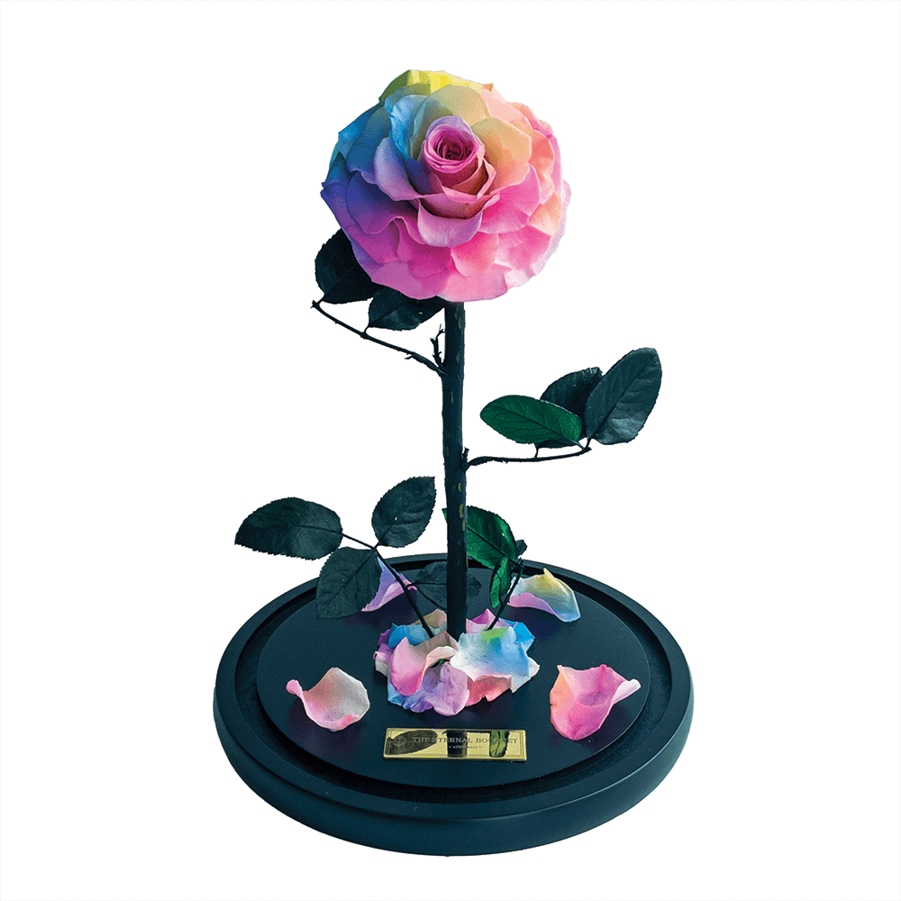 Everlasting Rainbow Rose in a Glass Dome without lid