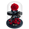 A large preserved everlasting red rose in a glass dome with scattered petals and black ribbon, symbolising eternal love—an elegant gift for anniversaries, Valentine’s Day, and romantic occasions.