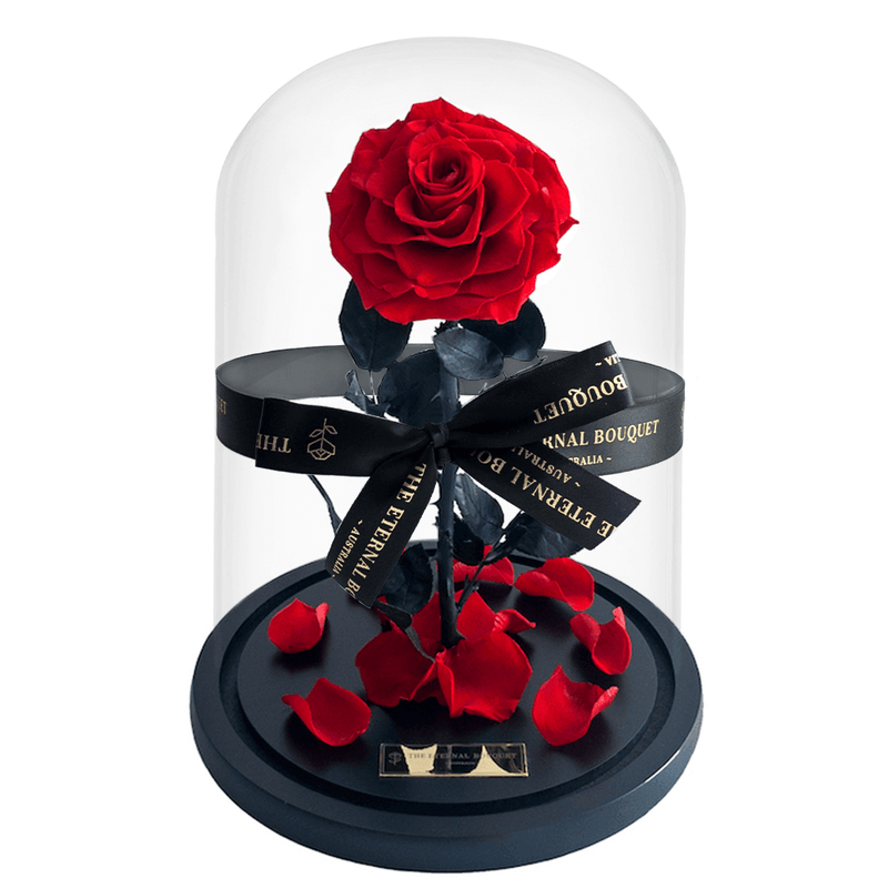 A large preserved everlasting red rose in a glass dome with scattered petals and black ribbon, symbolising eternal love—an elegant gift for anniversaries, Valentine’s Day, and romantic occasions.