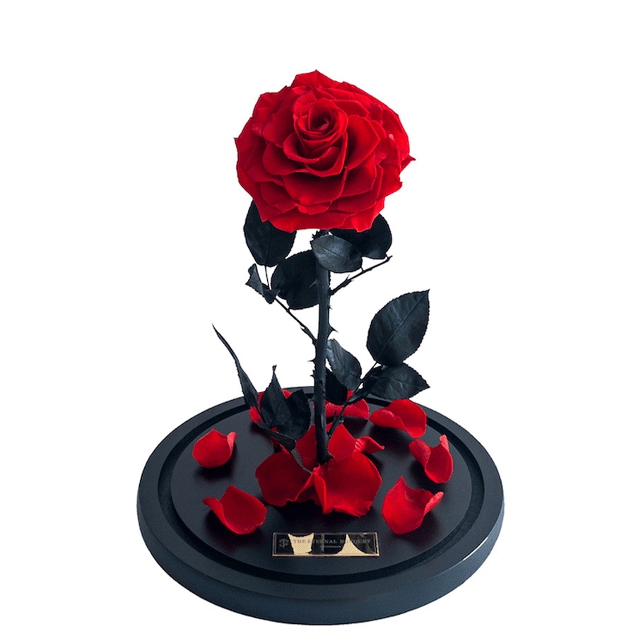 Australia's Favourite Everlasting Flowers & Personalised Floral Gifts ...