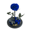 Dark blue enchanted rose 