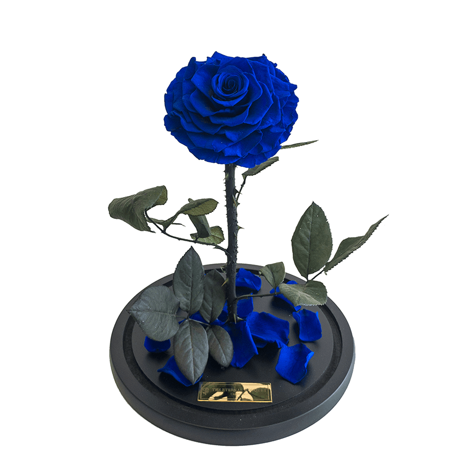 The Enchanted Rose - Royal Blue – The Eternal Bouquet