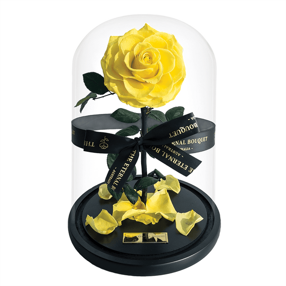 Everlasting yellow rose in a glass dome
