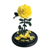The Eternal Bouquet Everlasting Yellow Rose 