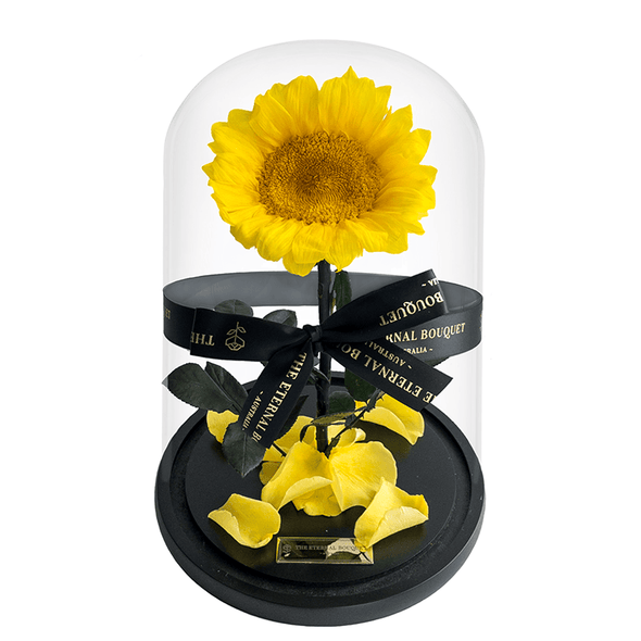 Luxury everlasting sunflower in a glass dome 
