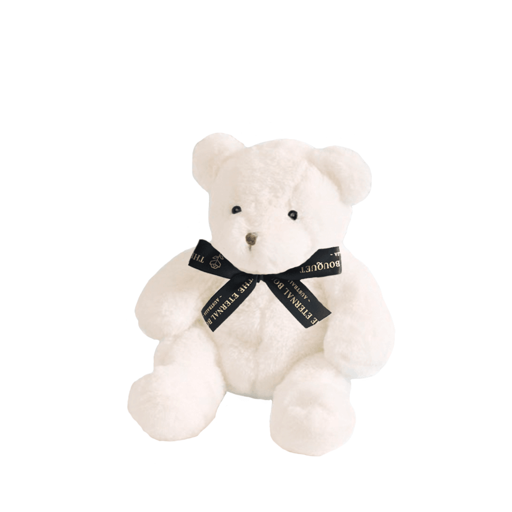 White Teddy Bear